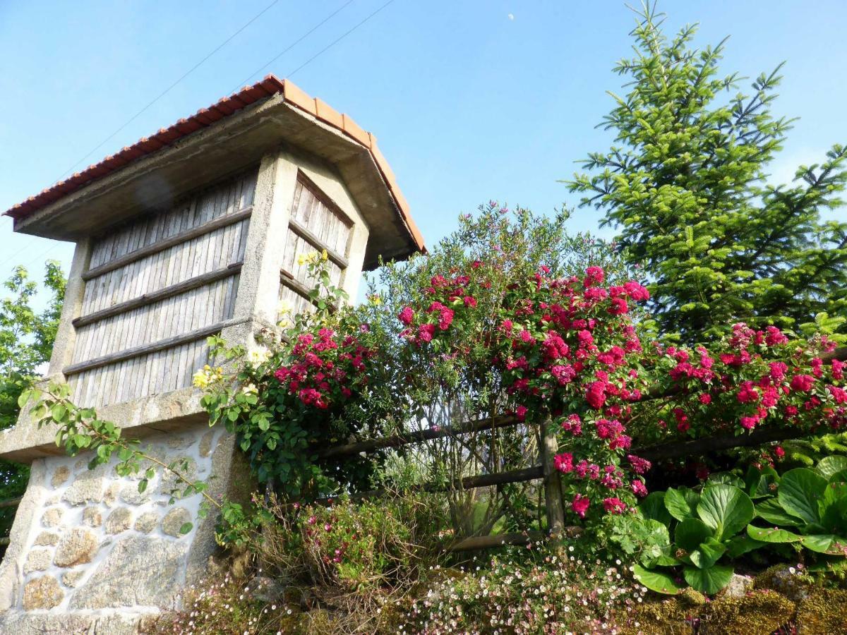Villa Casa Da Eira Velha Vale de Cambra Esterno foto